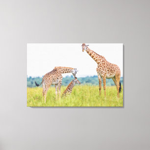Toile Images Getty   Famille Giraffe