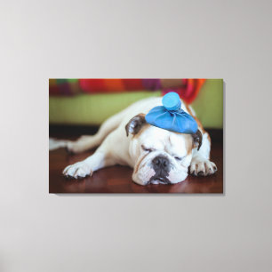 Toile Images Getty Sick Young Puppy