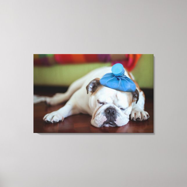Toile Images Getty | Sick Young Puppy (Recto)