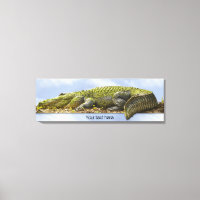 Immense Gator Panoramique Nature Photography OB Ef