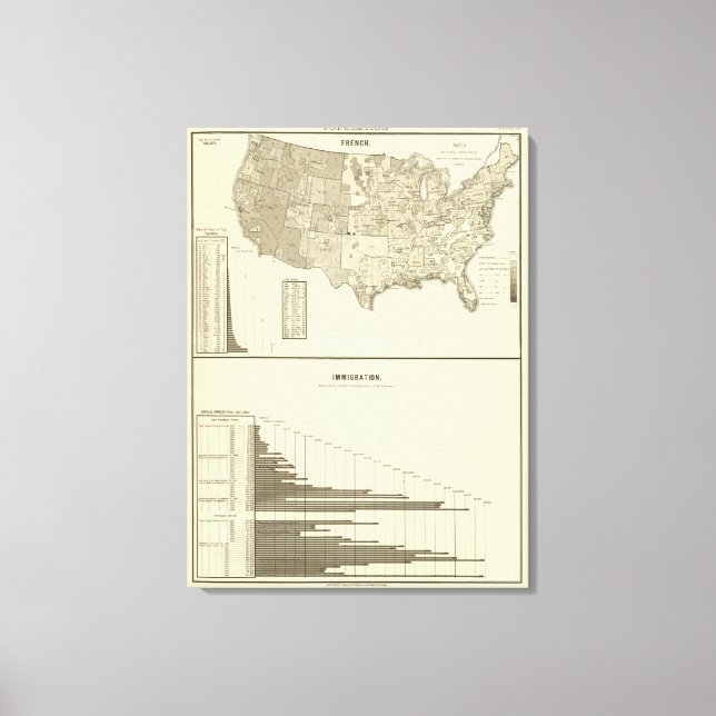 Toile Immigration française (Recto)