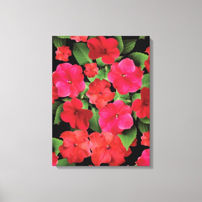 Toile Impatiens Fleurs Photographie (Recto)