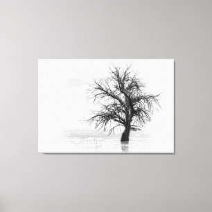 Toile Impression avec un seul arbre dans l'eau noi