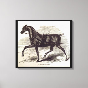 Toile Imprimé au 19e siècle Un cheval anglais Roadster