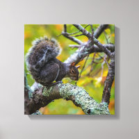 IMPRIMER BOUGIES SINISTER SQUIRREL