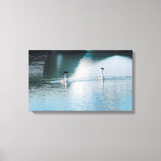 Toile Imprimer - Grebe de l'Ouest dans le port
