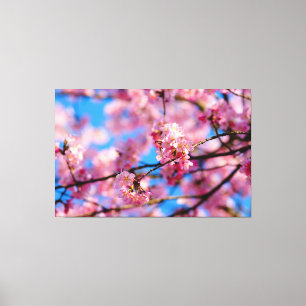 Toile Incroyable Sakura Rose Et Ciel Bleu Du Printemps