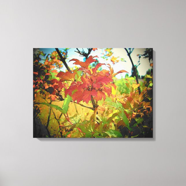 Toile Indian Summer Septembre Couleurs par djoneill (Recto)