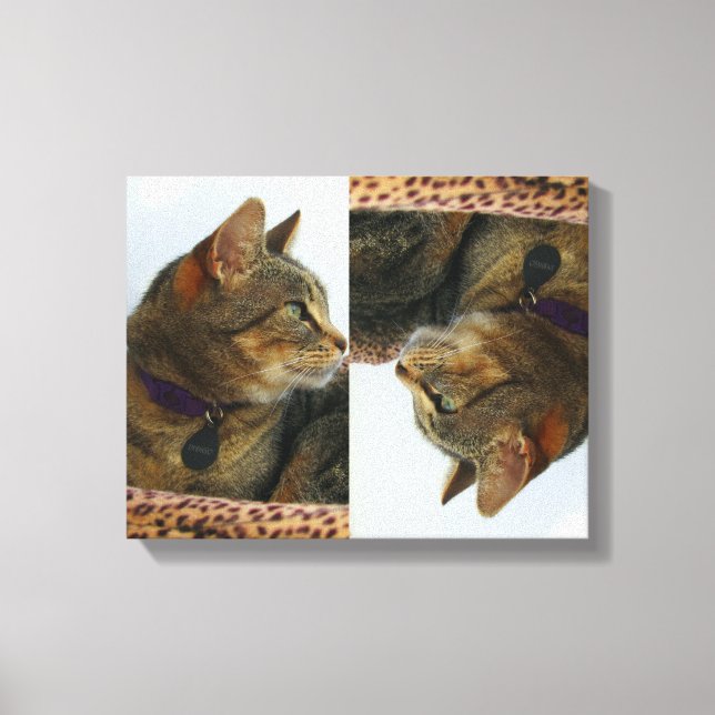 Toile Indigo (Recto)