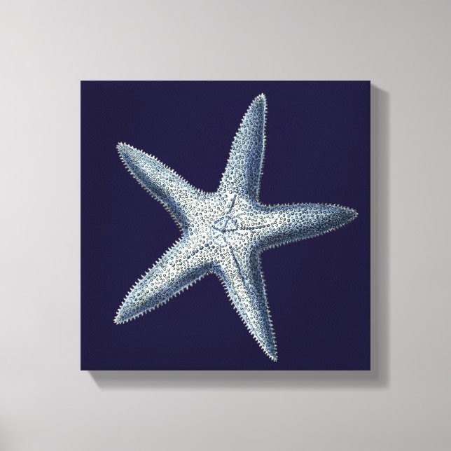 Toile Indigo Shells IV (Recto)