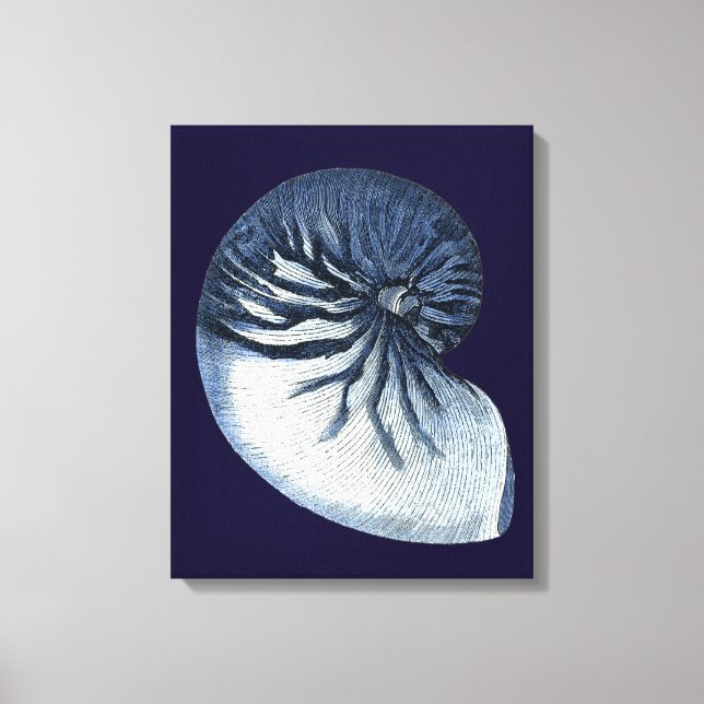 Toile Indigo Shells VII (Recto)
