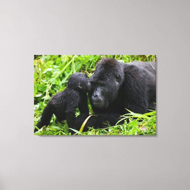 Toile Infant Mountain Gorilla Kisses Silverback (Recto)