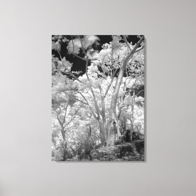 Toile Infrarouge d'arbres bâtiments et sentiers à Las 2 (Recto)