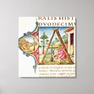Toile Initiale "A" de Historiated dépeignant