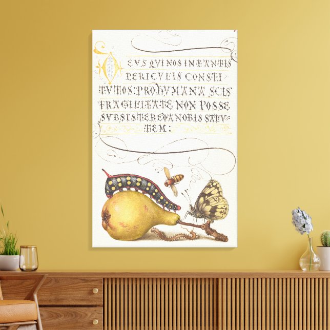 Toile Insectes de jardin, mouche, chenille, poire, mille (Insitu(Salon))
