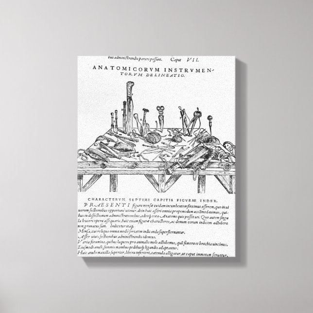 Toile Instruments pour Dissections, illustration de 'De (Recto)