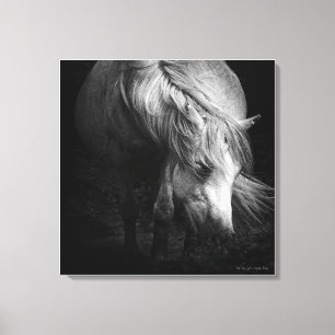 Toile Into the Light - Dartmoor Pony, fine art