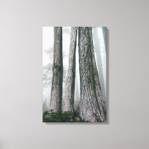 Toile Invocation de la forêt