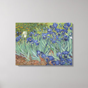 Toile Iris