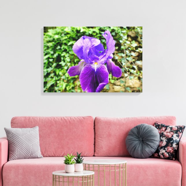 Toile Iris à poils (Insitu(Salon))