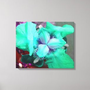 Toile Iris Bleu Clair