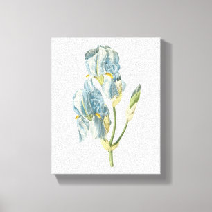 Toile iris doux (Iris pallida) de Redouté