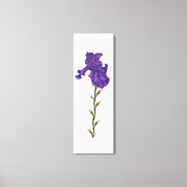 Toile Iris en floraison (Recto)