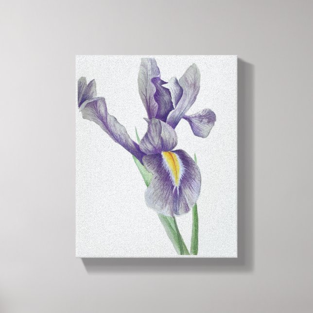 Toile Iris Stretched Canvas Print (Recto)