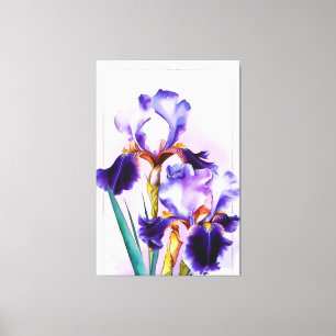 Toile *~* Irises Fleur Artsy Peinture AP84 Iris