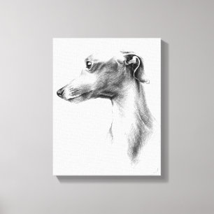 Toile Italien Greyhound Whippet portrait de chien dessin