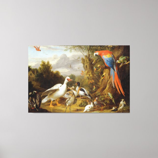 Toile Jacob Bogdani A Macaw Canards Perroquets et autres (Recto)