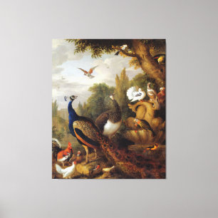 Toile Jacob Bogdani Peacock Peahen Parrots Canari