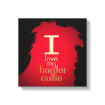 J'ADORE MON COLLIE FRONTALIER