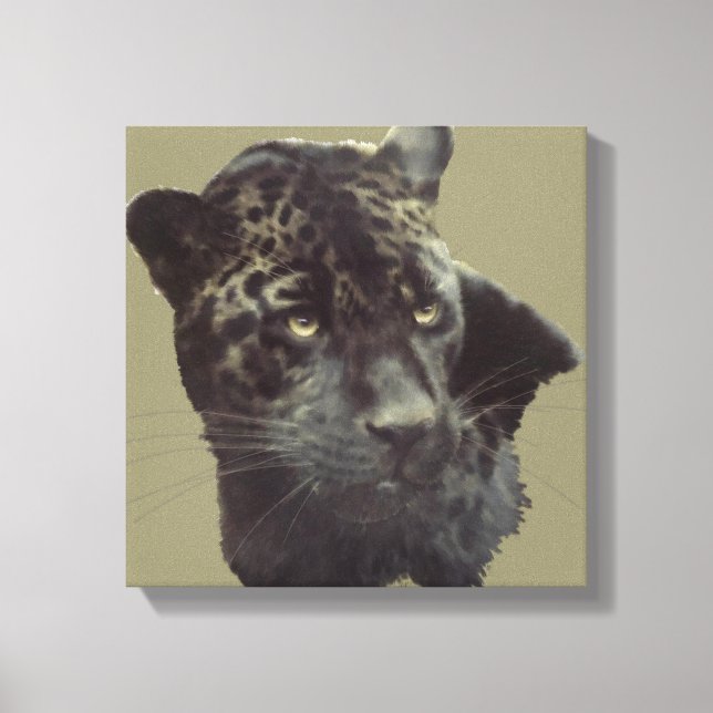 Toile Jaguar noir (Recto)