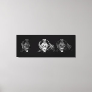 Toile Jaguar Noir & Blanc Enveloppée