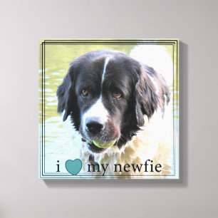 Toile J'aime ma Newfie Terre-Neuve Black Border