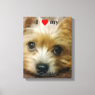 Toile J'aime mon Chorkie