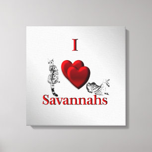 Toile J'aime Savannah Chat Argent