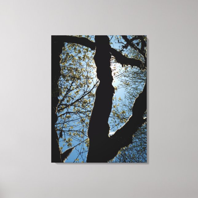 TOILE JAMAIS (Recto)