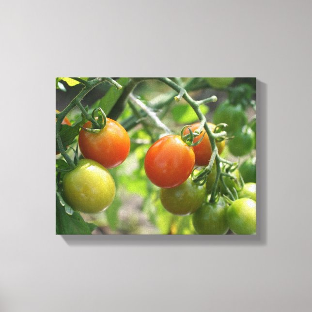 Toile Jardin Cherry Tomates Nature (Recto)