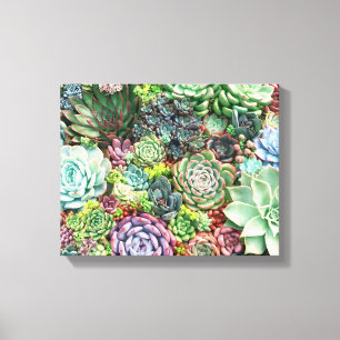 Toile Jardin coloré Succulent