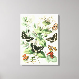 Toile Jardin des papillons et des fleurs