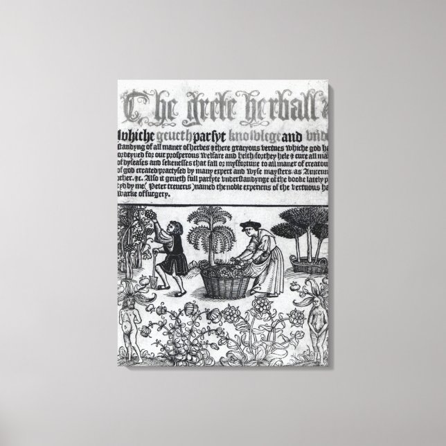 Toile Jardin médiéval aux herbes (Recto)
