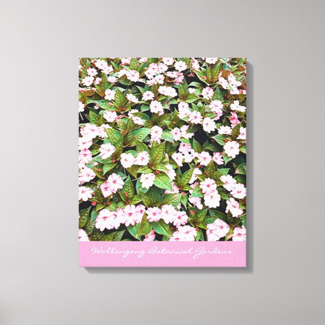 Toile Jardins botaniques fleurs roses NSW (Recto)