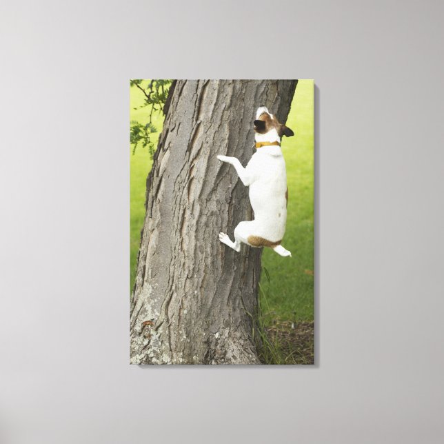 Toile Jardins botaniques, Sydney, Nouvelle-Galles du Sud (Recto)