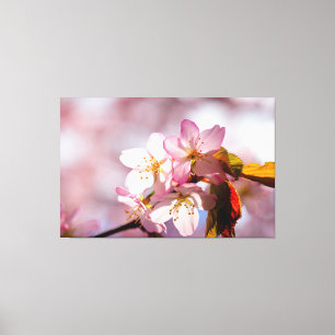 Toile Jeu de lumière du soleil et d'ombre sur les pétale