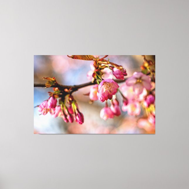 Toile Jeu de lumière et d'ombre sur les pétales de fleur (Recto)