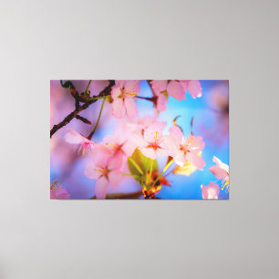Toile Jeu De Lumière Sur Sakura