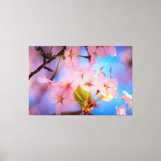 Toile Jeu De Lumière Sur Sakura (Recto)