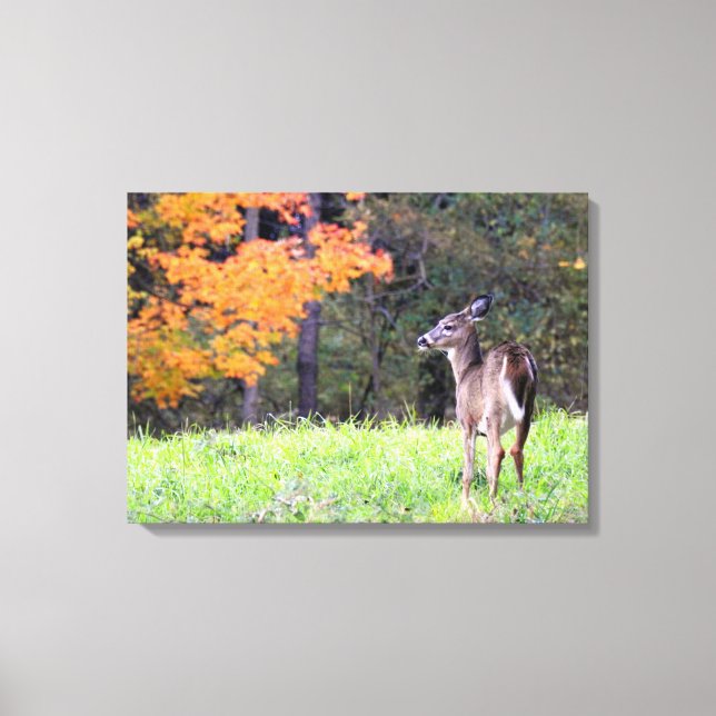 Toile Jeune Cerf en Automne (Recto)